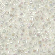 Miyuki delica beads 11/0 - White pearl ab DB-202